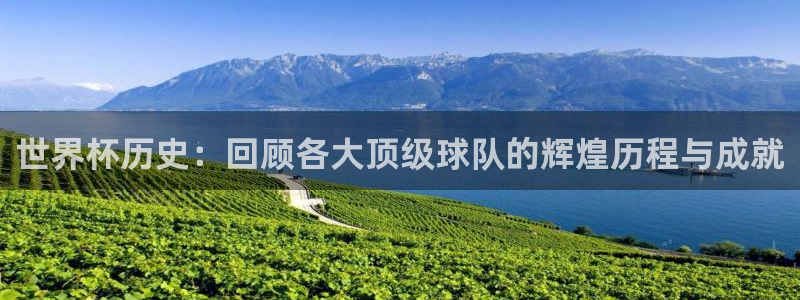 足球杯：世界杯历史：回顾各大顶级球队的辉煌历程与成就