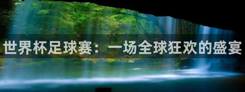 2026世界杯直播免费观看：世界杯足球赛：一场全球狂欢的盛宴