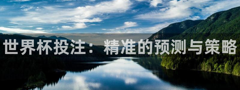 世界杯足球赛：世界杯投注：精准的预测与策略