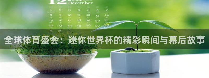免费足球比赛直播高清：全球体育盛会：迷你世界杯的精彩瞬间与幕后故事