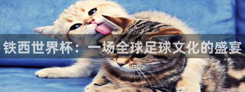 2026世界杯对阵图：铁西世界杯：一场全球足球文化的盛宴