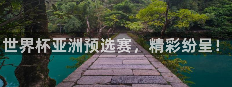 2026世界杯欧洲预选赛赛程表：世界杯亚洲预选赛，精彩纷呈！