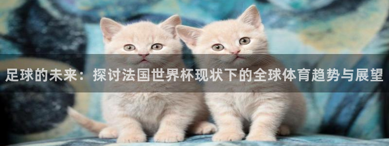 世界杯直播网：足球的未来：探讨法国世界杯现状下的全球体育趋势与展望