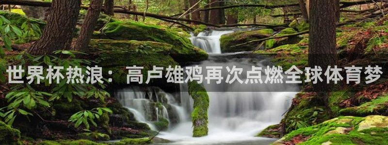 2026世界杯32强对阵图表：世界杯热浪：高卢雄鸡再次点燃全球体育梦