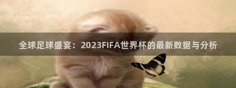 世界杯对阵图2026：全球足球盛宴：2023FIFA世界杯的最新数据与分析