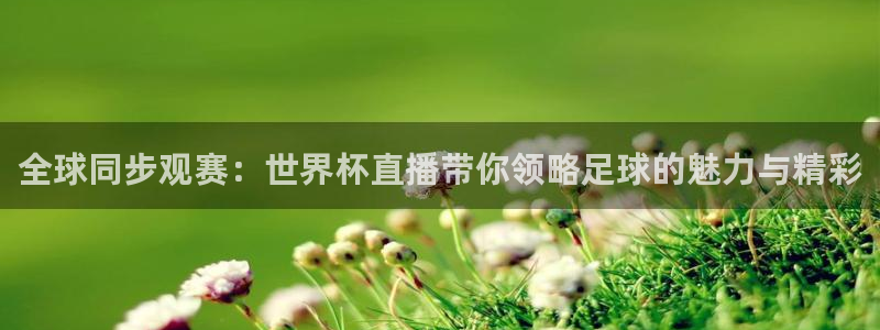 欧洲世界杯预选赛：全球同步观赛：世界杯直播带你领略足球的魅力与精彩