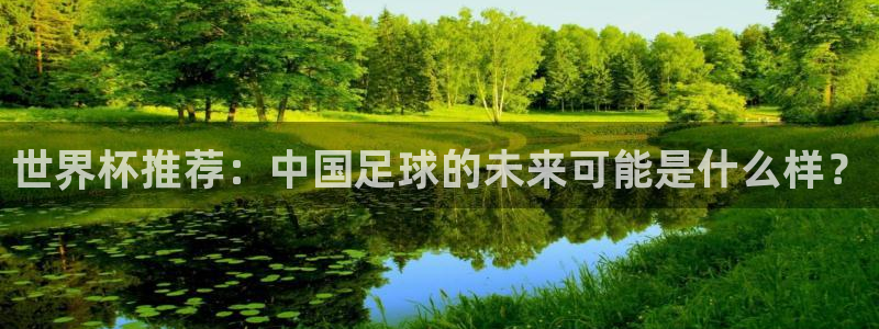 中国 世界杯：世界杯推荐：中国足球的未来可能是什么样？