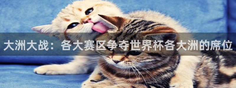 世界杯附加赛赛程表：大洲大战：各大赛区争夺世界杯各大洲的席位