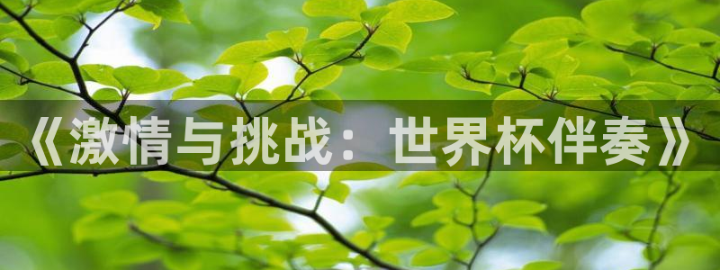 2026年世界杯赛程：《激情与挑战：世界杯伴奏》