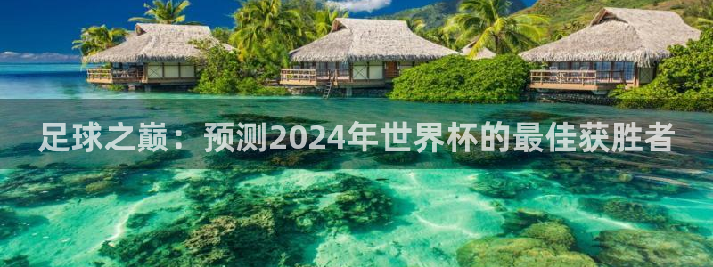 足球世界杯2026：足球之巅：预测2024年世界杯的最佳获胜者