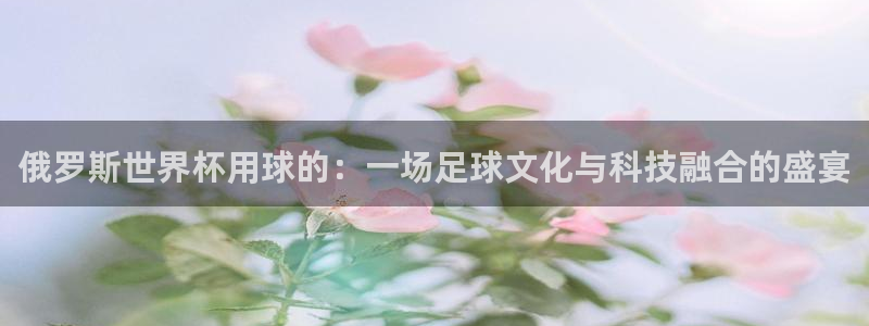 欧洲世界杯预选赛：俄罗斯世界杯用球的：一场足球文化与科技融合的盛宴