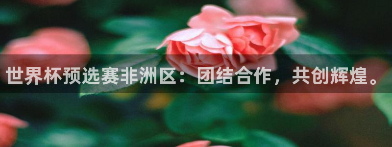 2026世界杯中国队：世界杯预选赛非洲区：团结合作，共创辉煌。