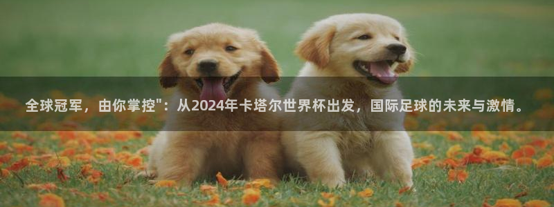 世界杯2026比赛时间表：全球冠军，由你掌控\