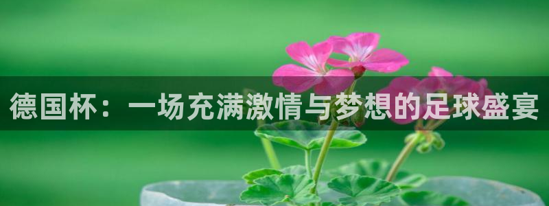 世界杯 赛程：德国杯：一场充满激情与梦想的足球盛宴